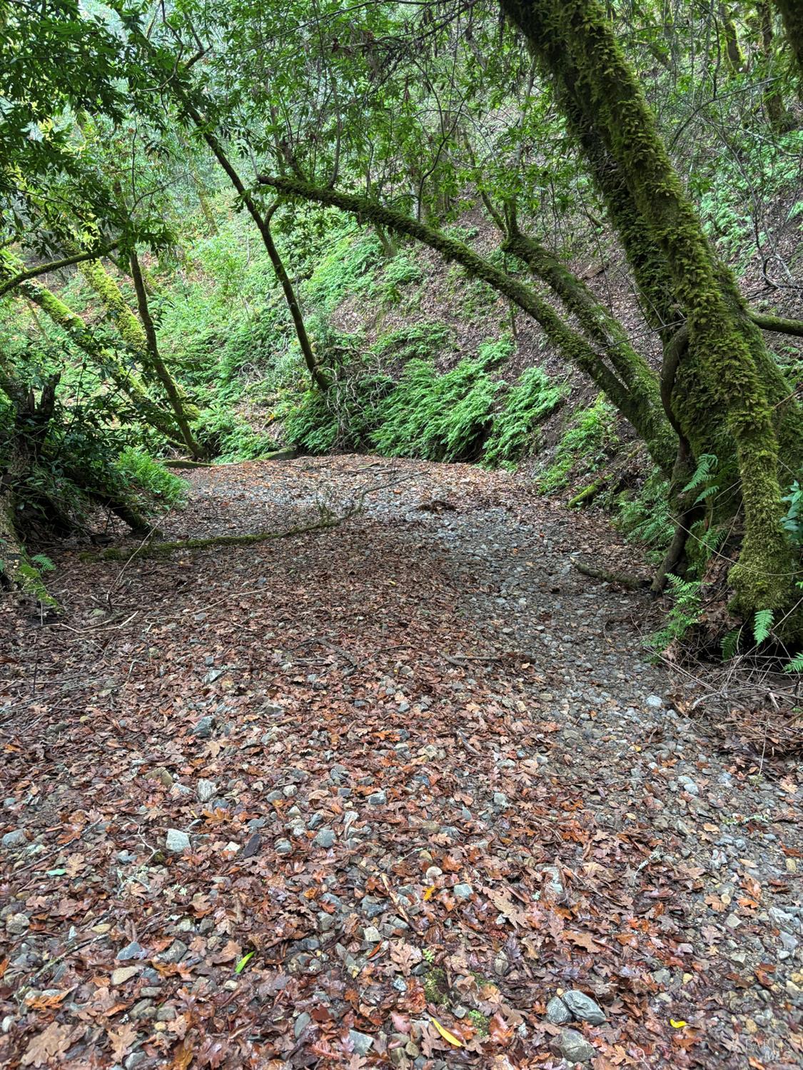 Detail Gallery Image 3 of 9 For 11285 Dell Ave, Forestville,  CA 95436 - – Beds | – Baths