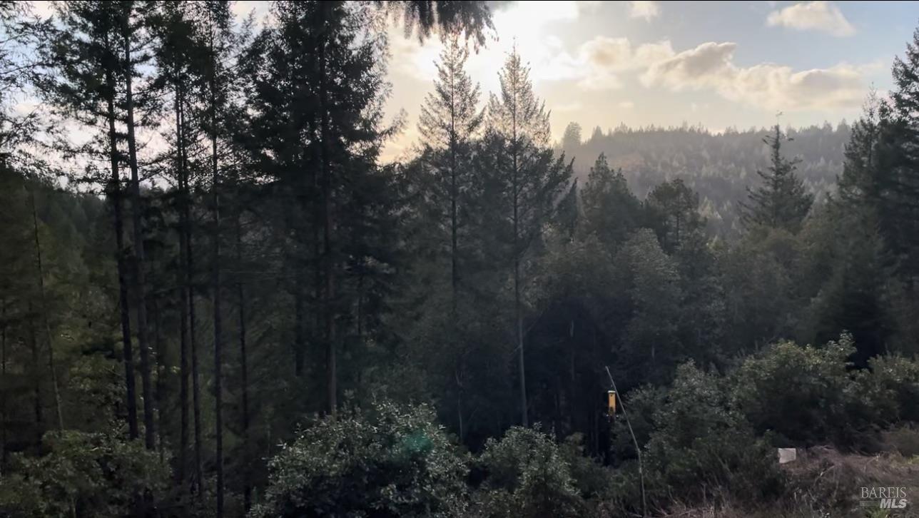 Detail Gallery Image 7 of 44 For 36000 Nash Mill Rd, Philo,  CA 95466 - – Beds | – Baths