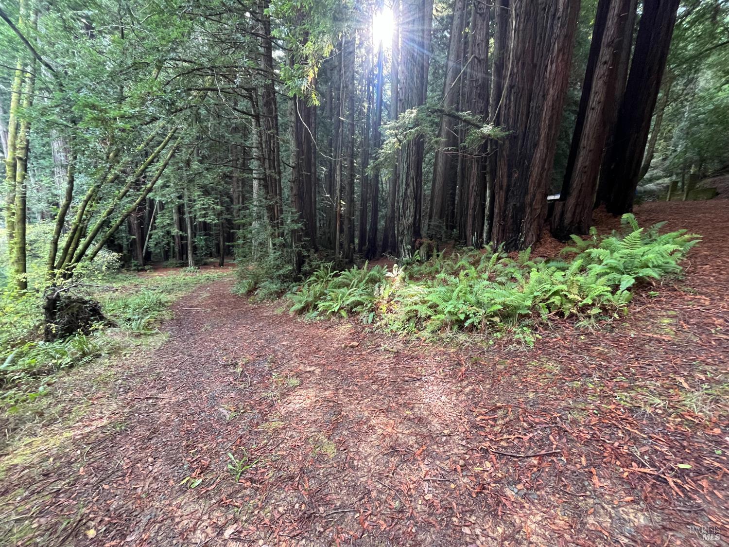 Detail Gallery Image 9 of 33 For 1355 Nicasio Valley Rd, Nicasio,  CA 94946 - 0 Beds | 0/1 Baths