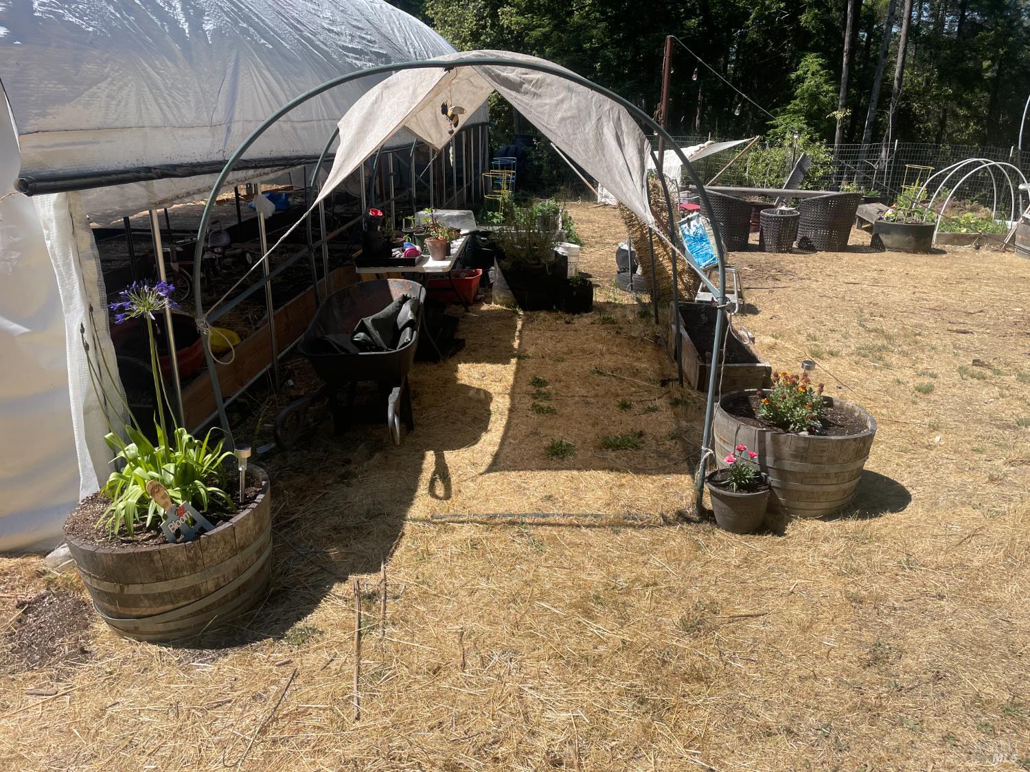 Detail Gallery Image 8 of 44 For 36000 Nash Mill Rd, Philo,  CA 95466 - – Beds | – Baths