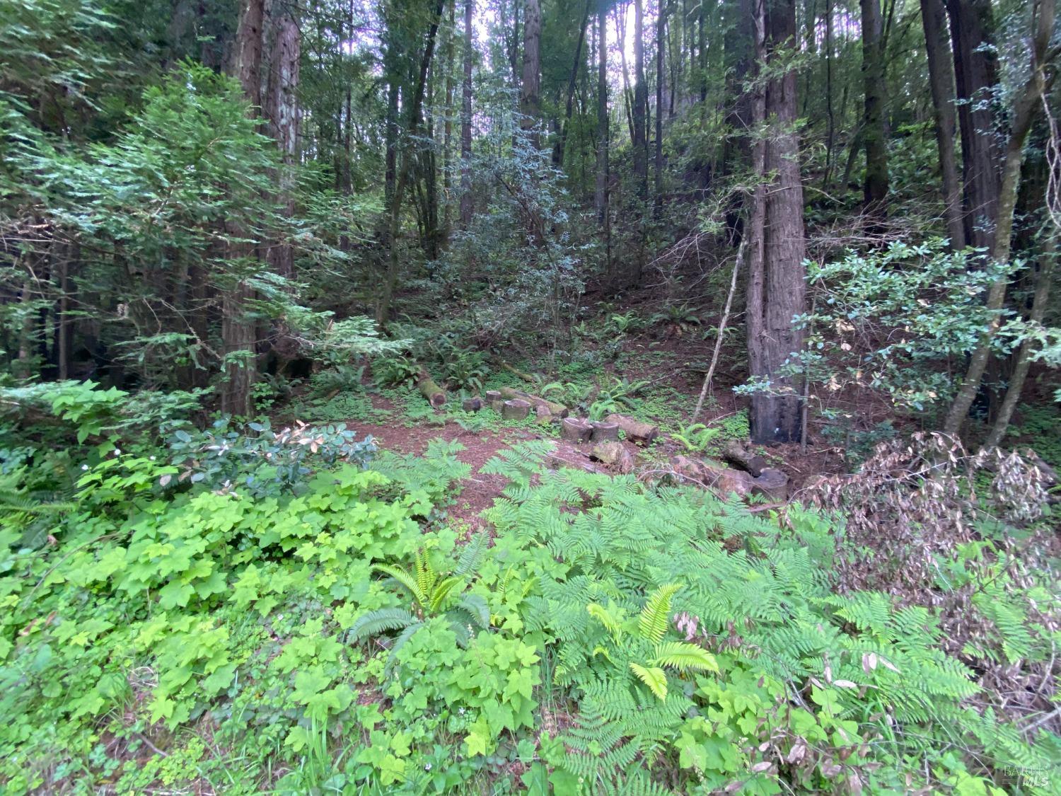 Detail Gallery Image 2 of 8 For 925 Cazadero Hwy, Cazadero,  CA 95421 - – Beds | – Baths