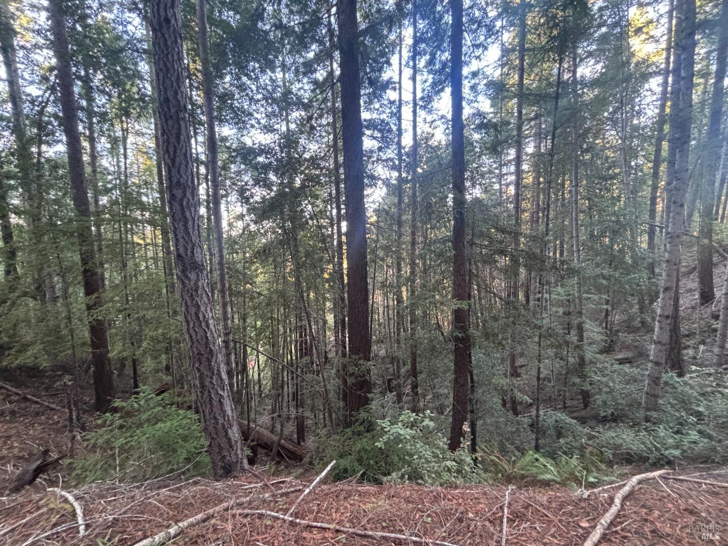 Detail Gallery Image 30 of 44 For 36000 Nash Mill Rd, Philo,  CA 95466 - – Beds | – Baths