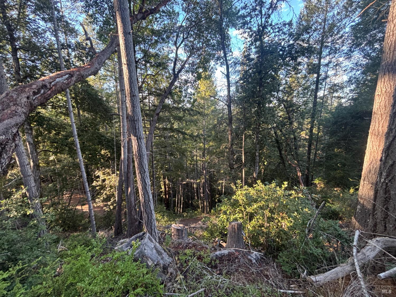 Detail Gallery Image 37 of 44 For 36000 Nash Mill Rd, Philo,  CA 95466 - – Beds | – Baths