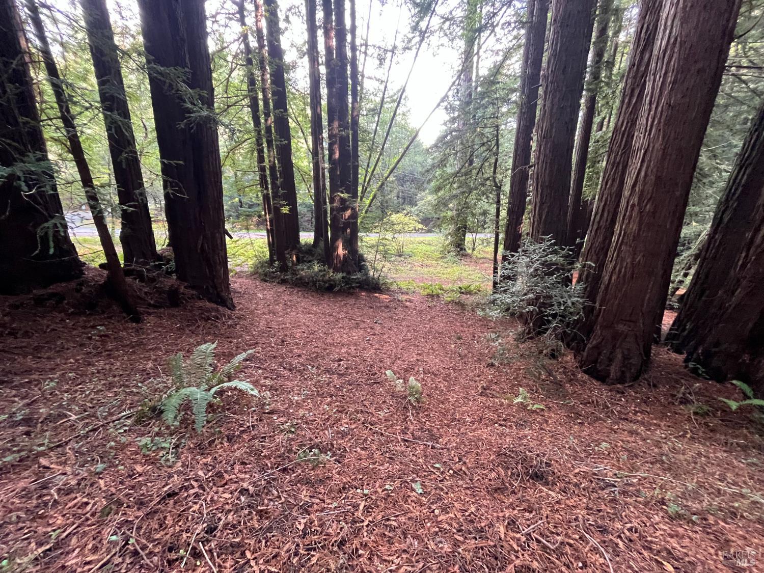 Detail Gallery Image 16 of 33 For 1355 Nicasio Valley Rd, Nicasio,  CA 94946 - 0 Beds | 0/1 Baths