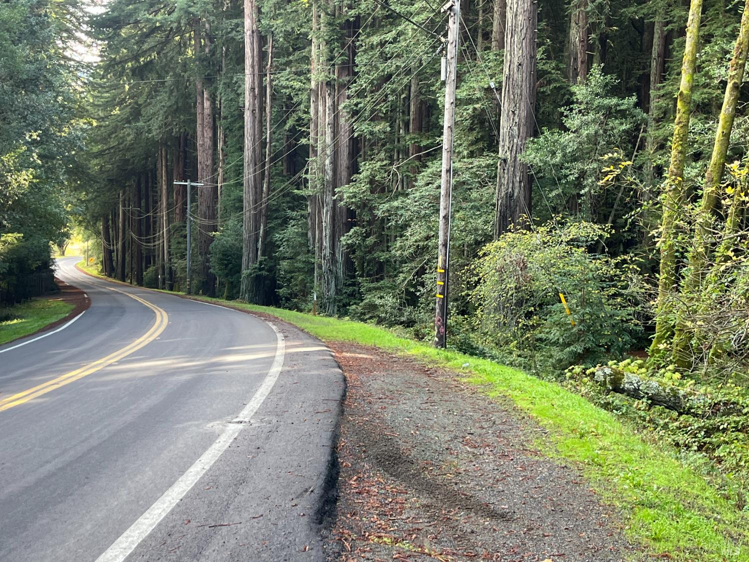 Detail Gallery Image 22 of 33 For 1355 Nicasio Valley Rd, Nicasio,  CA 94946 - 0 Beds | 0/1 Baths