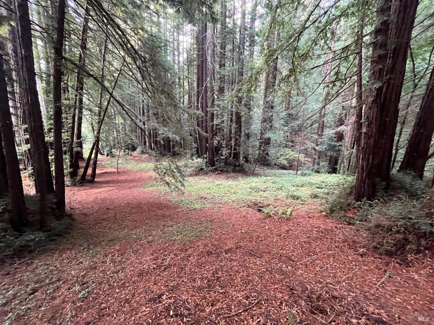 Detail Gallery Image 18 of 33 For 1355 Nicasio Valley Rd, Nicasio,  CA 94946 - 0 Beds | 0/1 Baths