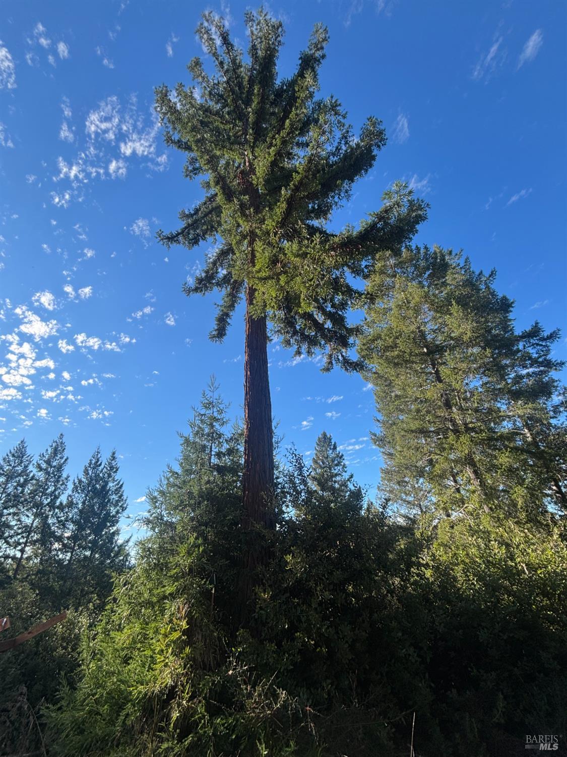 Detail Gallery Image 26 of 44 For 36000 Nash Mill Rd, Philo,  CA 95466 - – Beds | – Baths