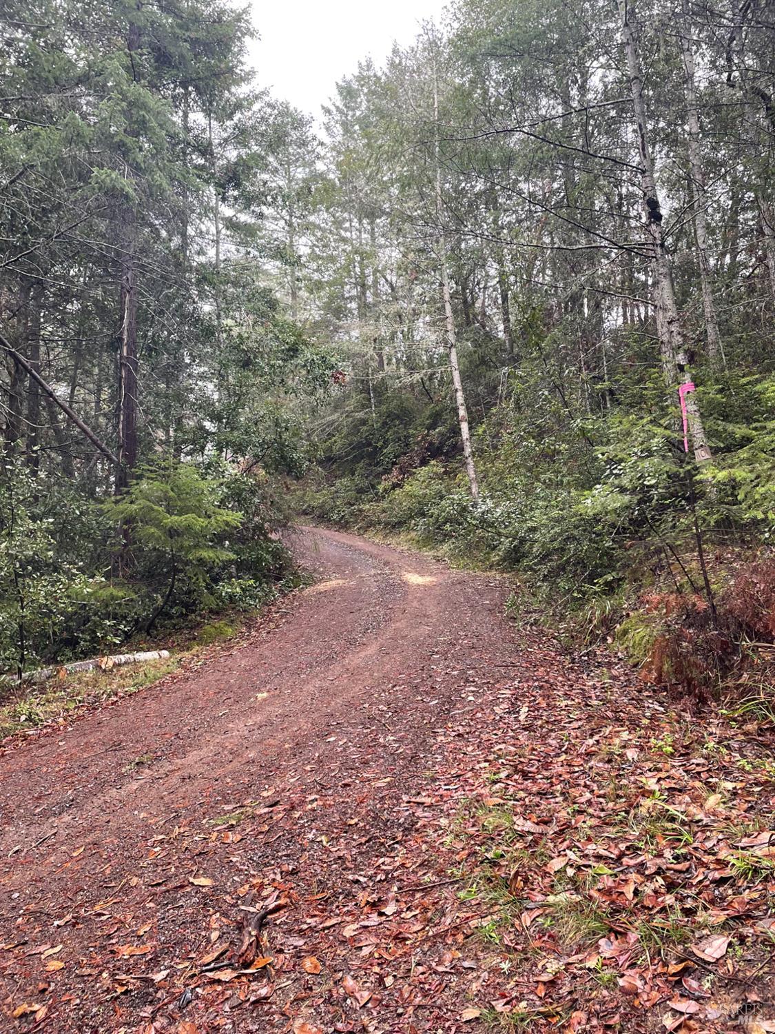 Detail Gallery Image 42 of 44 For 36000 Nash Mill Rd, Philo,  CA 95466 - – Beds | – Baths