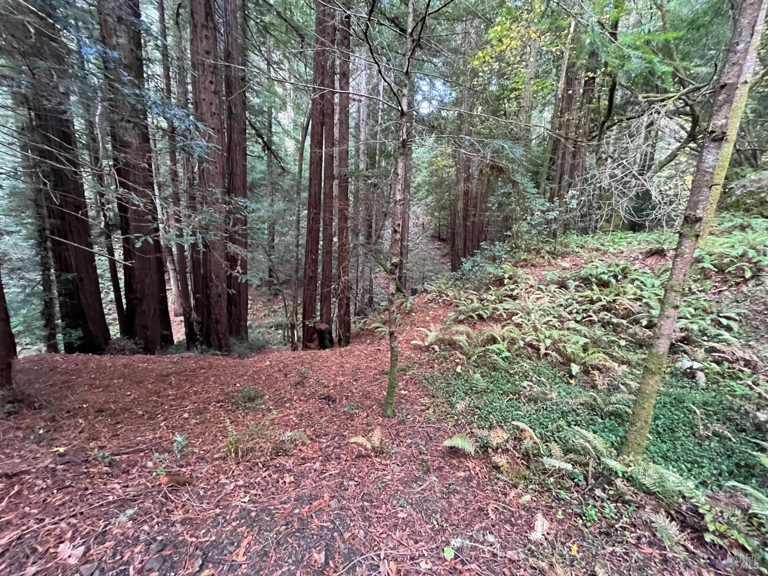 Detail Gallery Image 19 of 33 For 1355 Nicasio Valley Rd, Nicasio,  CA 94946 - 0 Beds | 0/1 Baths