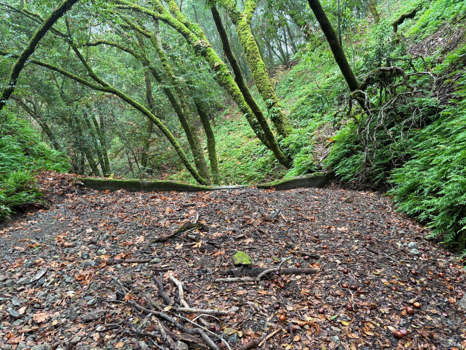 Detail Gallery Image 2 of 9 For 11285 Dell Ave, Forestville,  CA 95436 - – Beds | – Baths