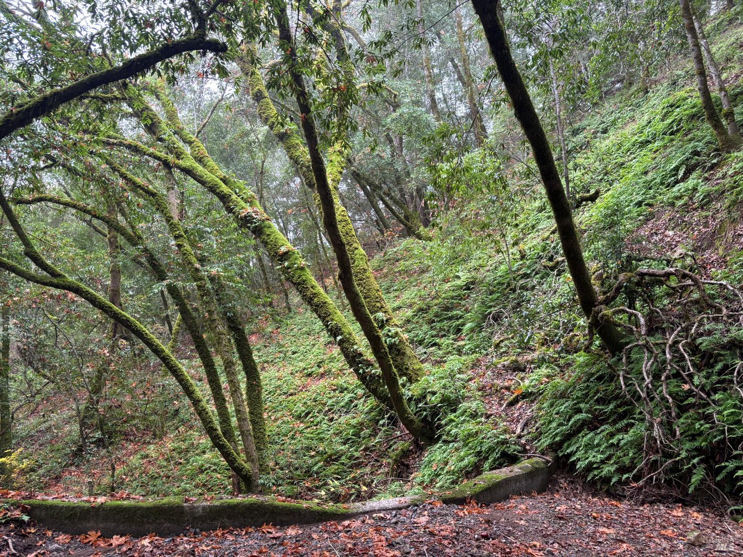 Front Image Thumbnail for BA325102712