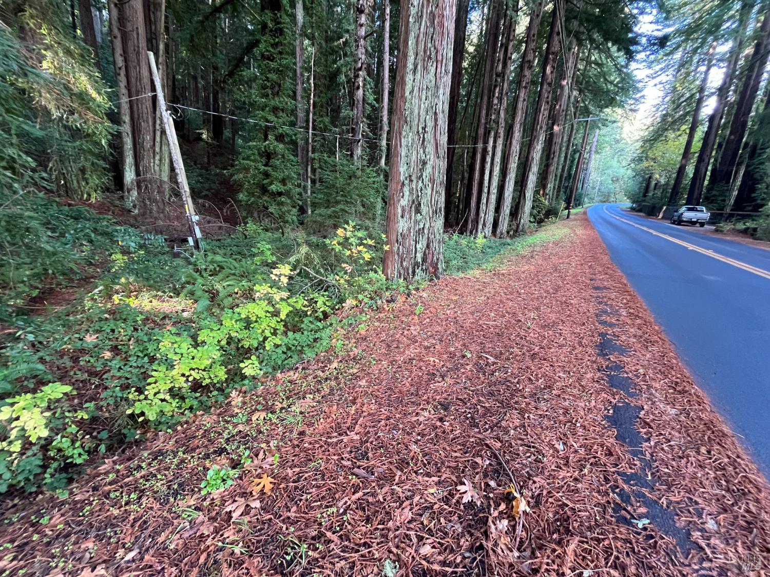 Detail Gallery Image 24 of 33 For 1355 Nicasio Valley Rd, Nicasio,  CA 94946 - 0 Beds | 0/1 Baths