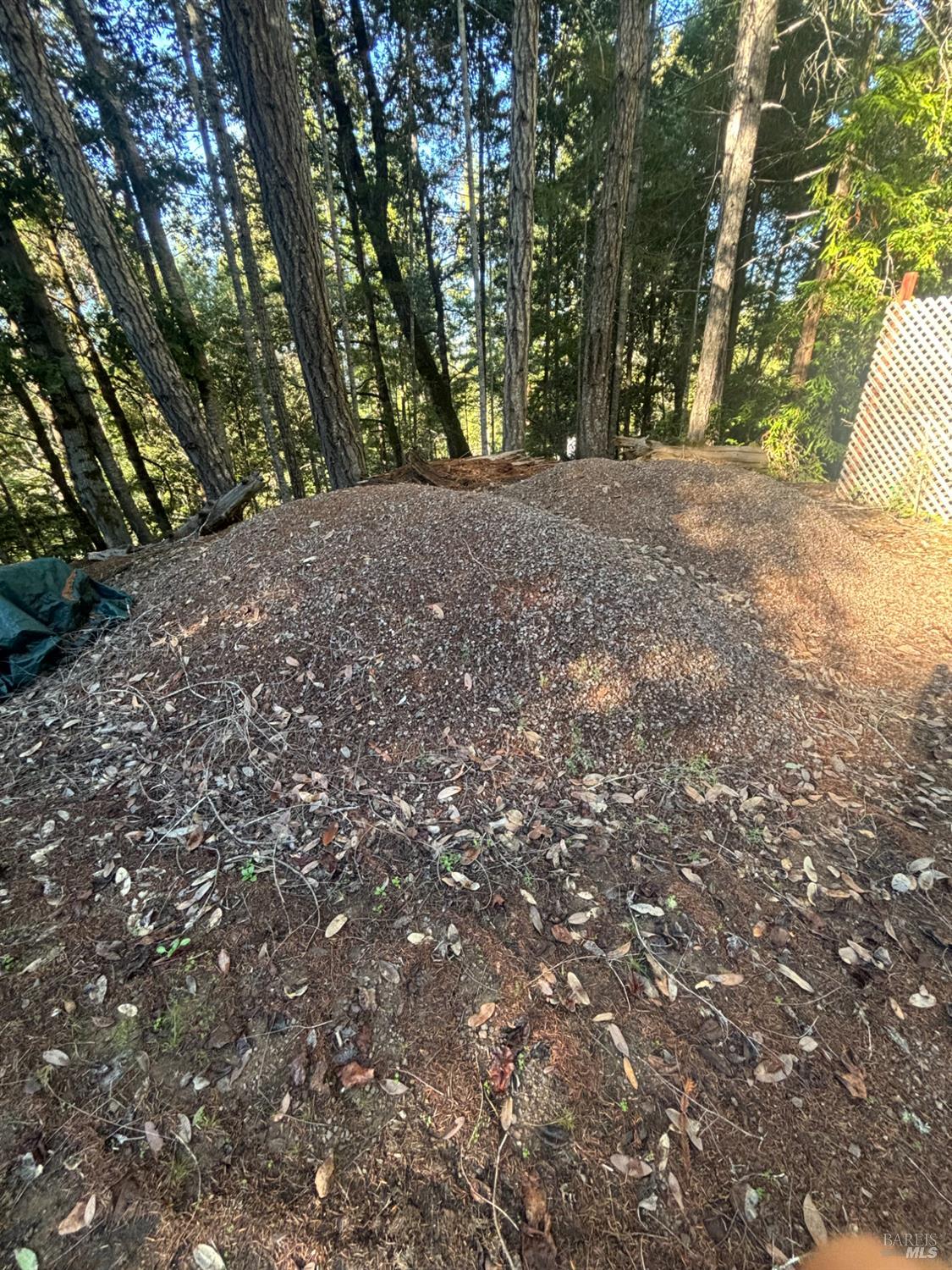 Detail Gallery Image 16 of 44 For 36000 Nash Mill Rd, Philo,  CA 95466 - – Beds | – Baths