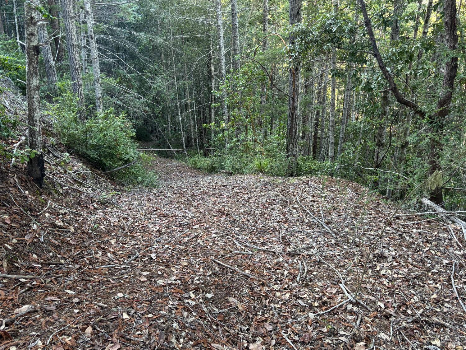 Detail Gallery Image 31 of 44 For 36000 Nash Mill Rd, Philo,  CA 95466 - – Beds | – Baths