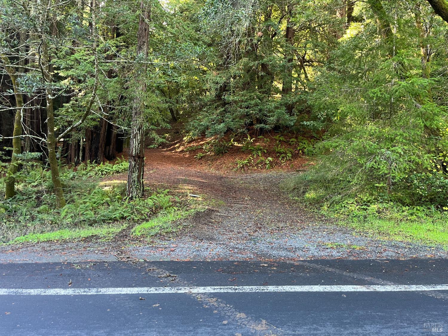 Detail Gallery Image 25 of 33 For 1355 Nicasio Valley Rd, Nicasio,  CA 94946 - 0 Beds | 0/1 Baths