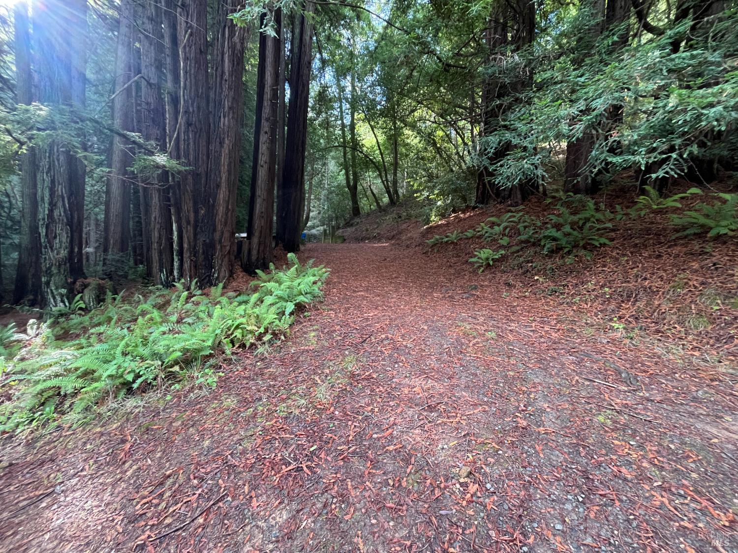 Detail Gallery Image 10 of 33 For 1355 Nicasio Valley Rd, Nicasio,  CA 94946 - 0 Beds | 0/1 Baths