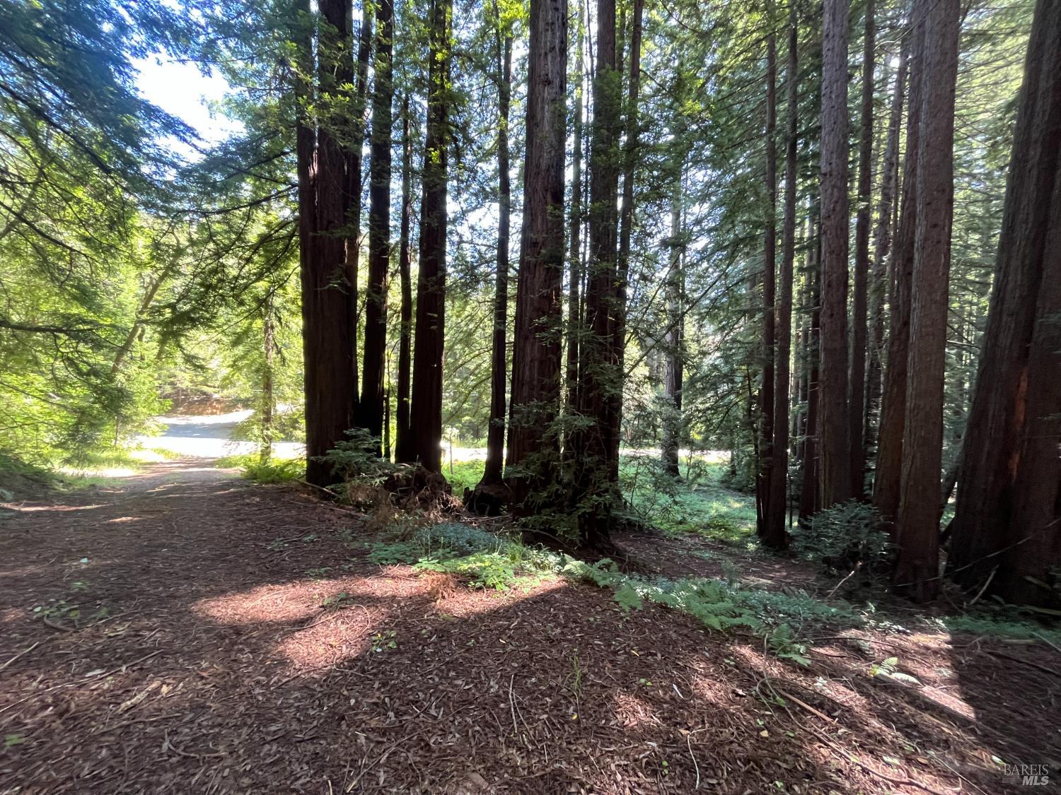 Front Image Thumbnail for BA325102654