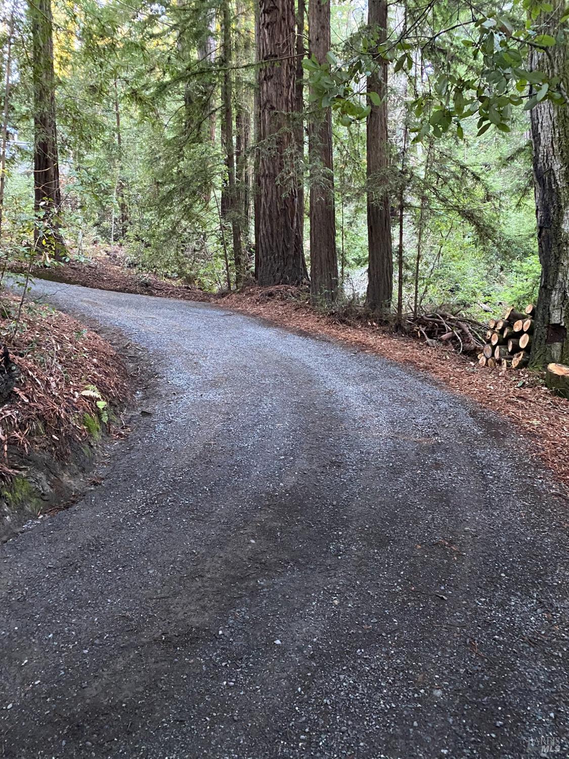 Detail Gallery Image 56 of 90 For 2081 Joy Rd, Occidental,  CA 95465 - 3 Beds | 2/1 Baths