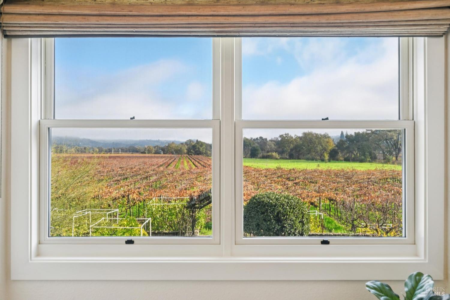 Detail Gallery Image 46 of 70 For 4188 Saint Helena Hwy, Calistoga,  CA 94515 - 3 Beds | 2/1 Baths