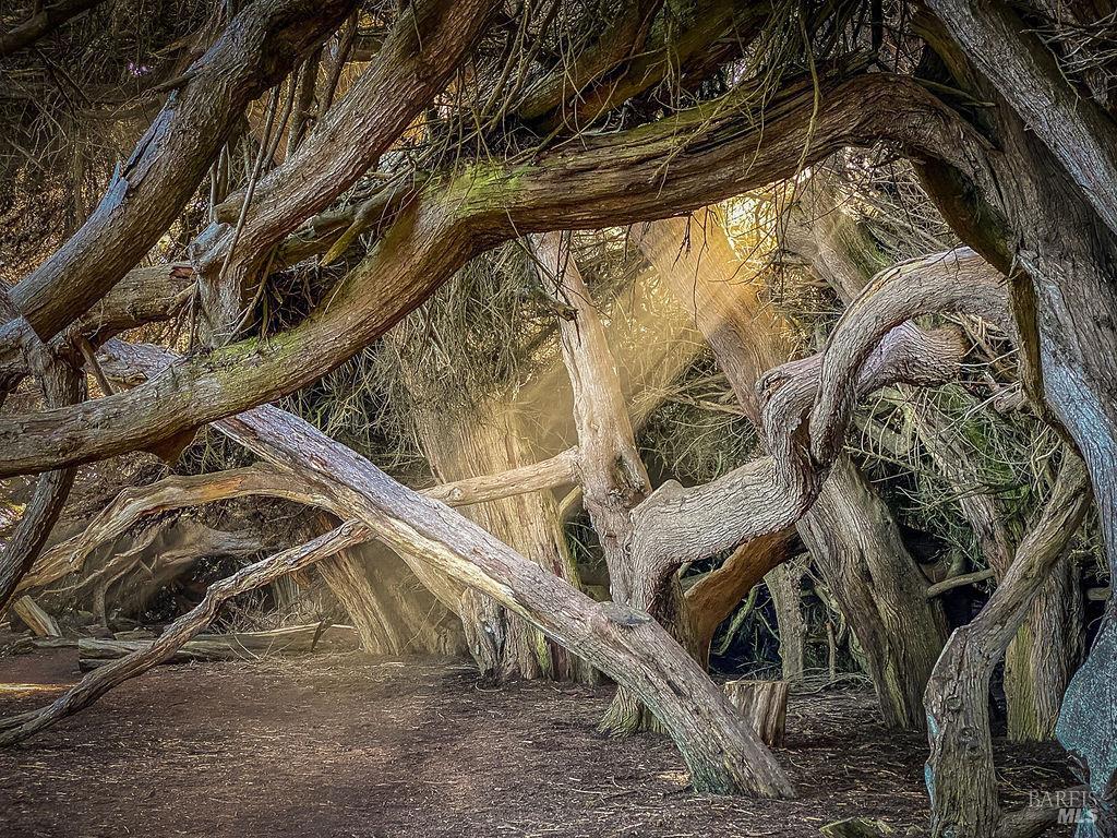 Detail Gallery Image 61 of 63 For 167 Dune Drift Close Unkn, The Sea Ranch,  CA 95497 - 3 Beds | 2 Baths