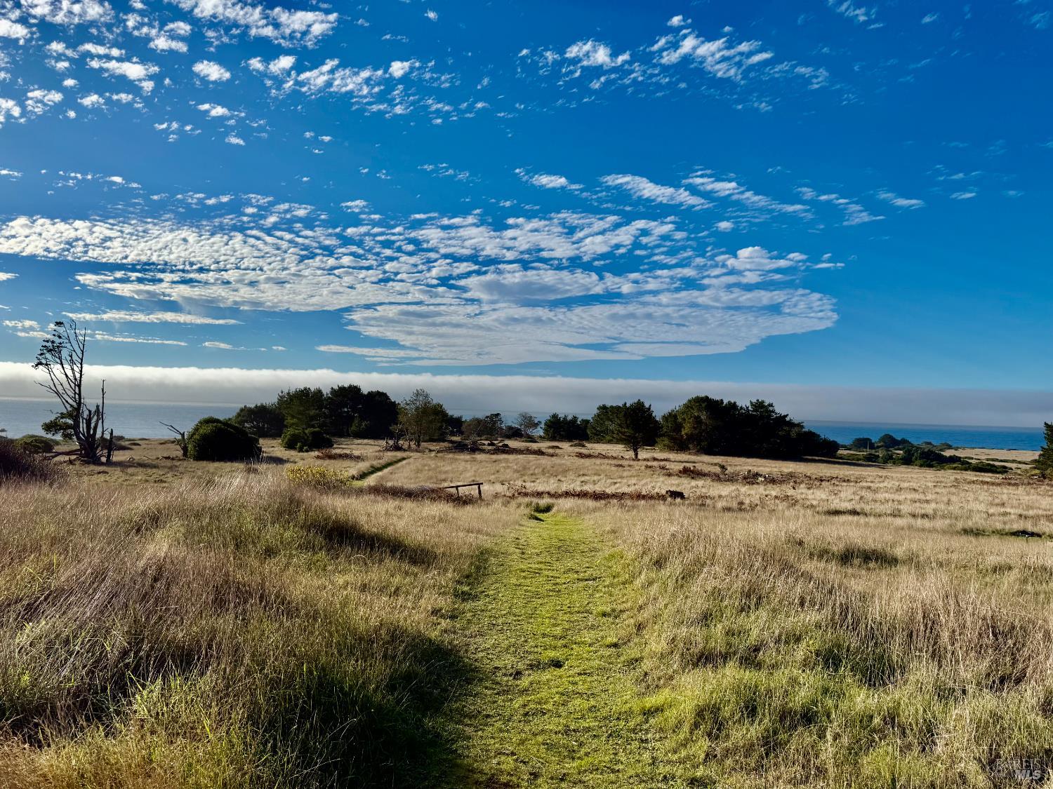 Detail Gallery Image 21 of 31 For 13500 Point Cabrillo Dr 20, Mendocino,  CA 95460 - 1 Beds | 1 Baths