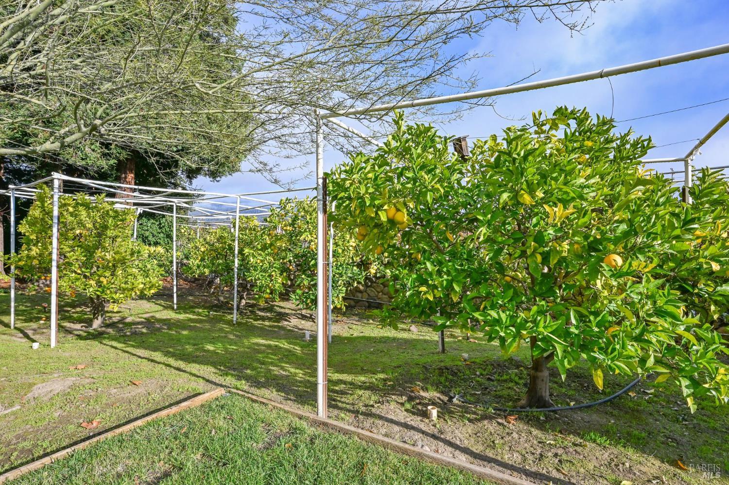 Detail Gallery Image 61 of 70 For 4188 Saint Helena Hwy, Calistoga,  CA 94515 - 3 Beds | 2/1 Baths