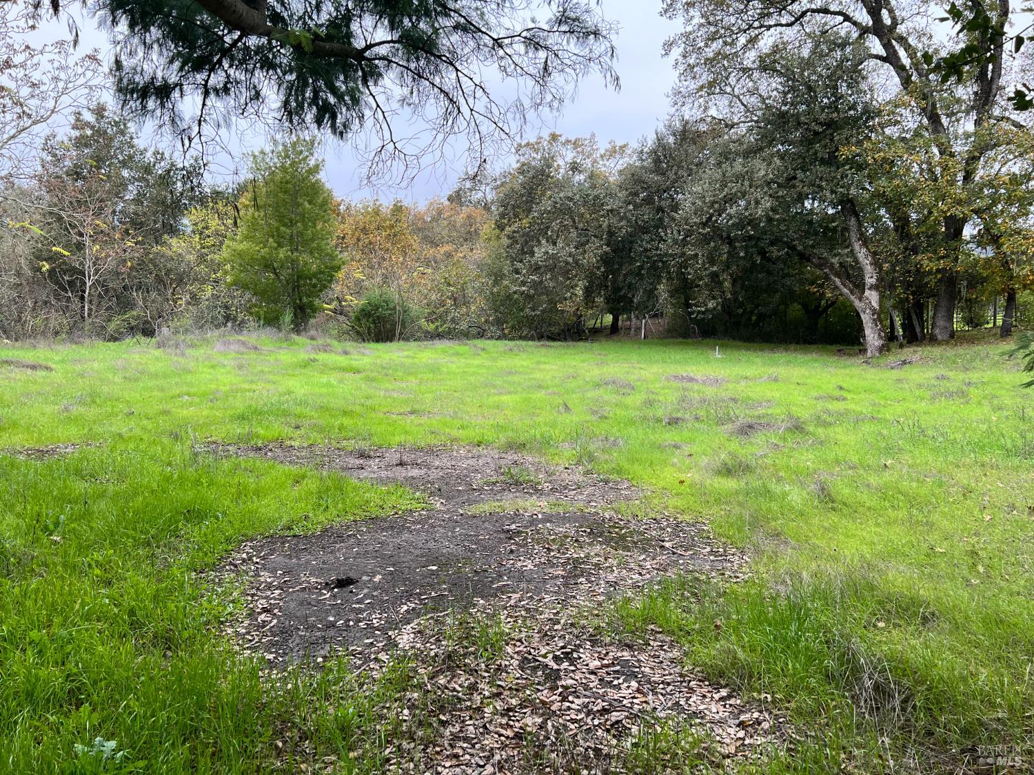 1055 Heaven Hill Road