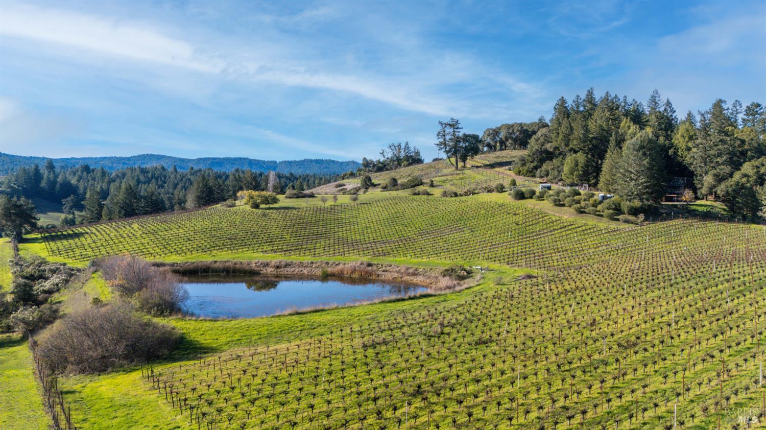 Detail Gallery Image 12 of 17 For 2300 Guntley Rd, Philo,  CA 95466 - – Beds | – Baths