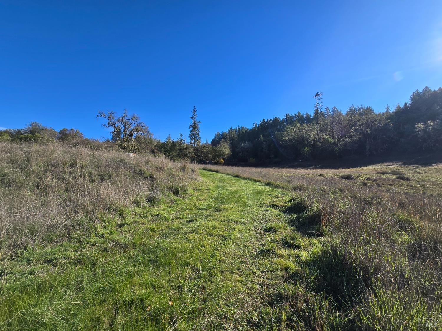 Detail Gallery Image 4 of 16 For 0 Ridgewood Rd, Willits,  CA 95490 - – Beds | – Baths