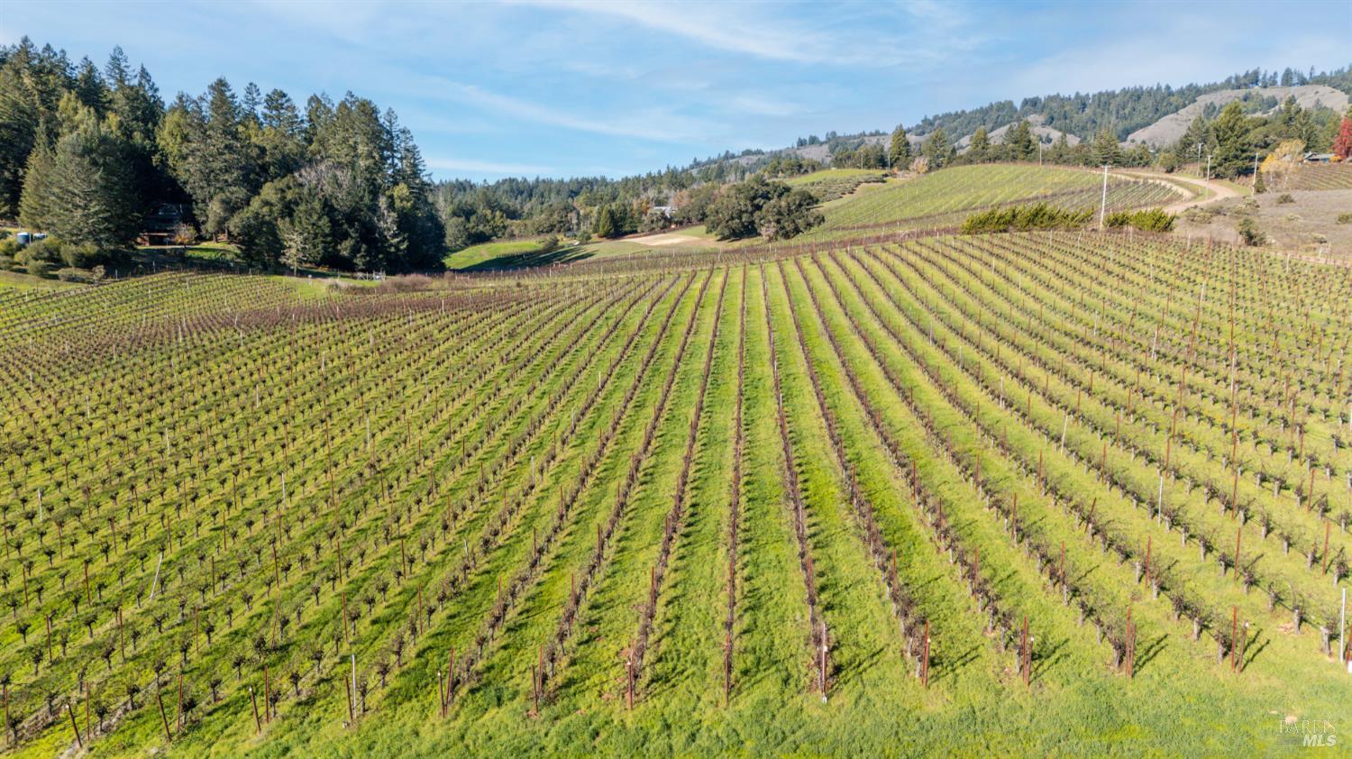 Detail Gallery Image 11 of 17 For 2300 Guntley Rd, Philo,  CA 95466 - – Beds | – Baths