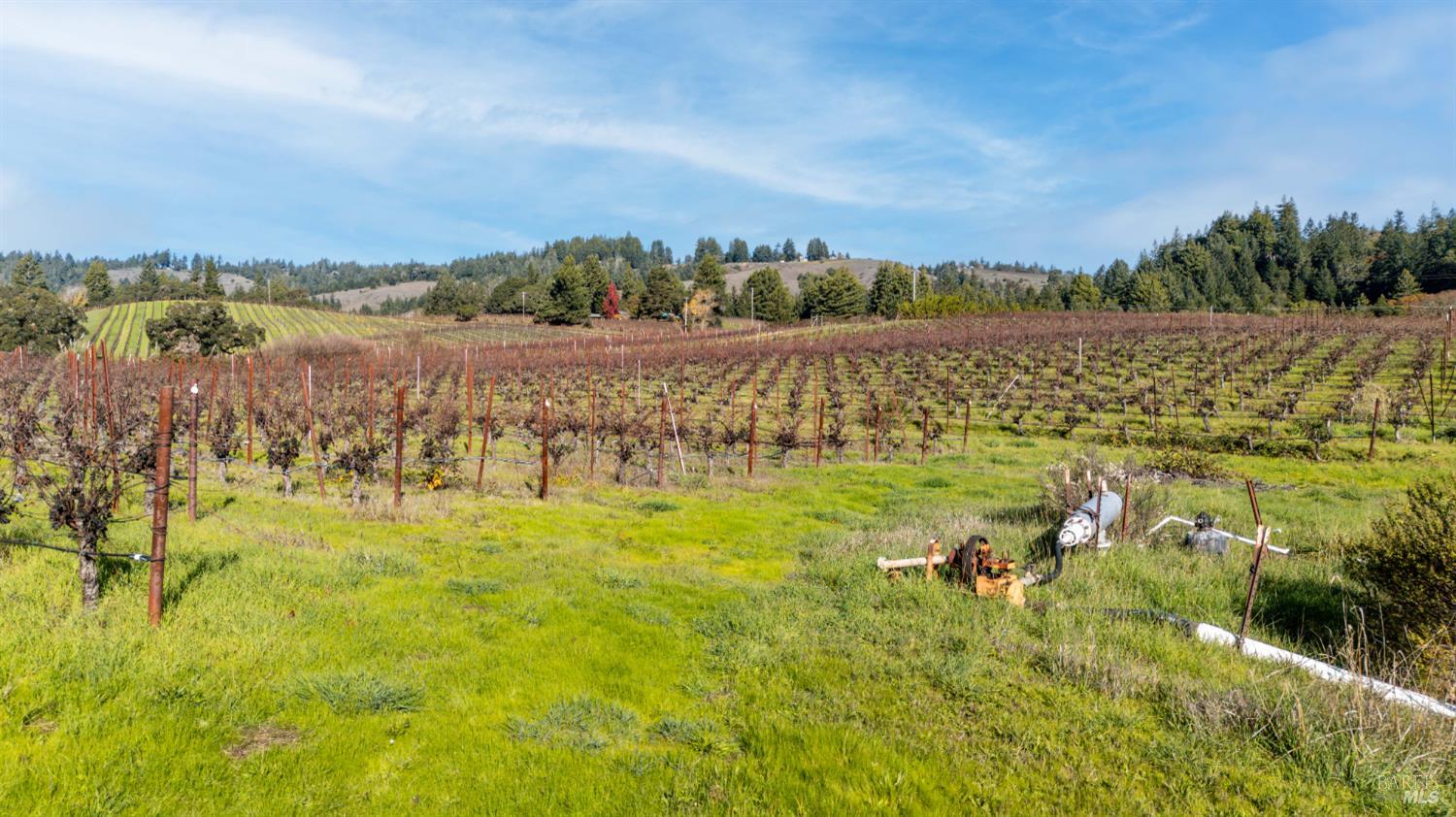 Detail Gallery Image 13 of 17 For 2300 Guntley Rd, Philo,  CA 95466 - – Beds | – Baths