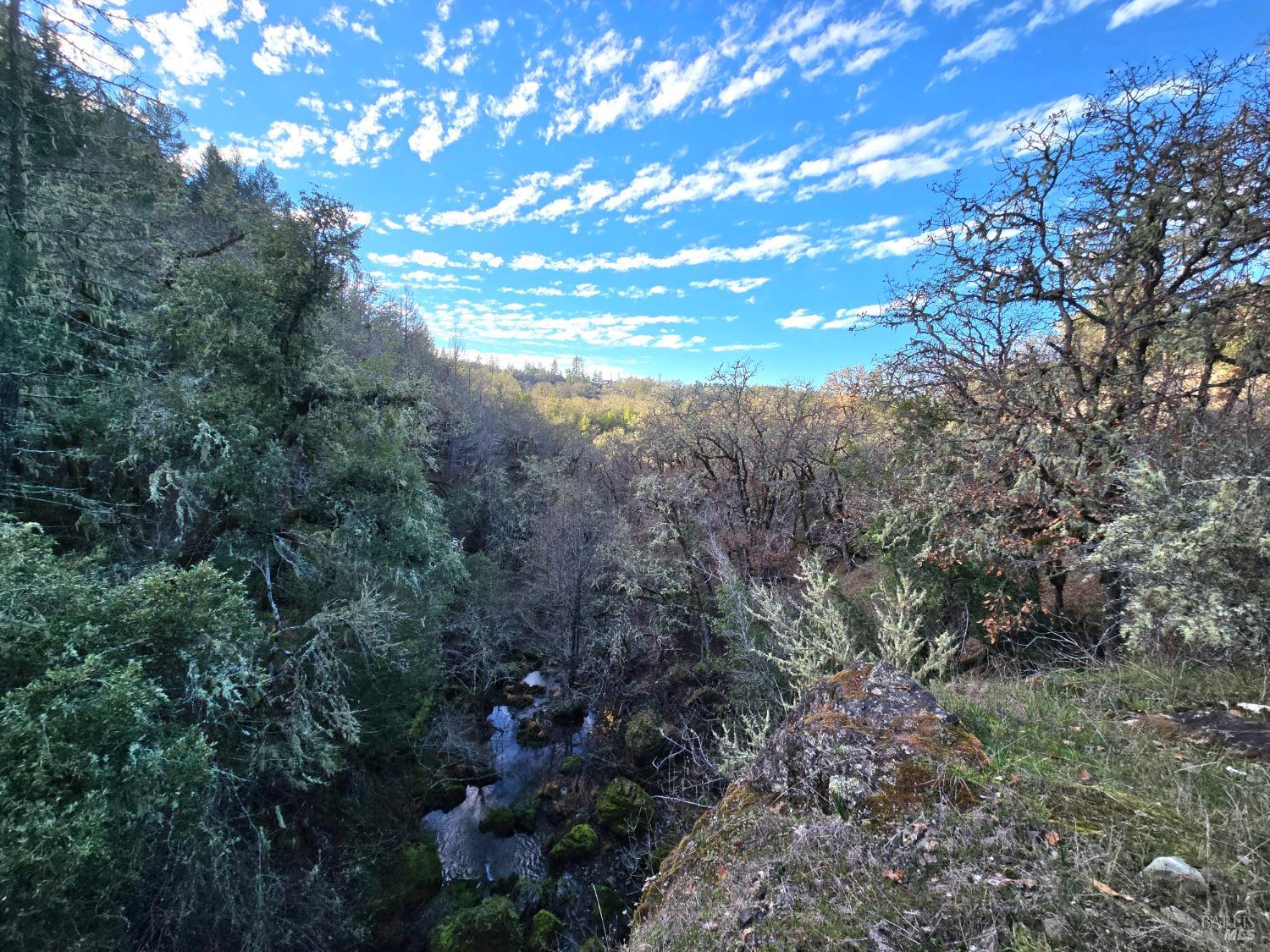 Detail Gallery Image 12 of 16 For 0 Ridgewood Rd, Willits,  CA 95490 - – Beds | – Baths