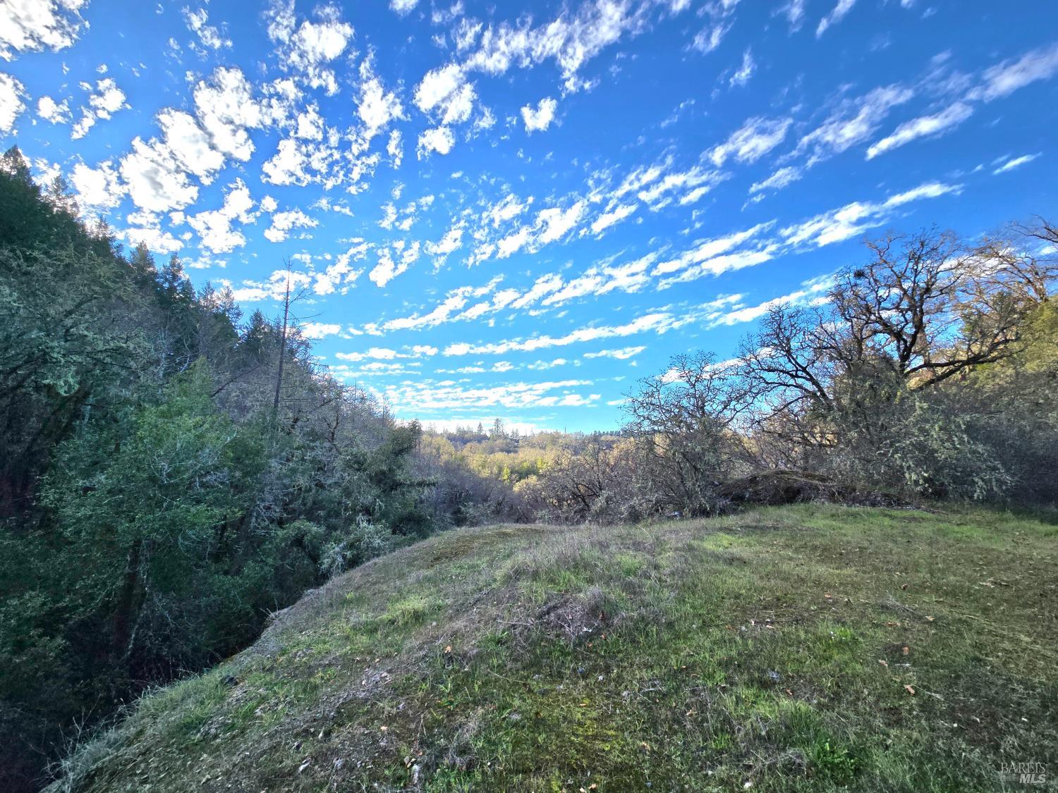 Detail Gallery Image 14 of 16 For 0 Ridgewood Rd, Willits,  CA 95490 - – Beds | – Baths