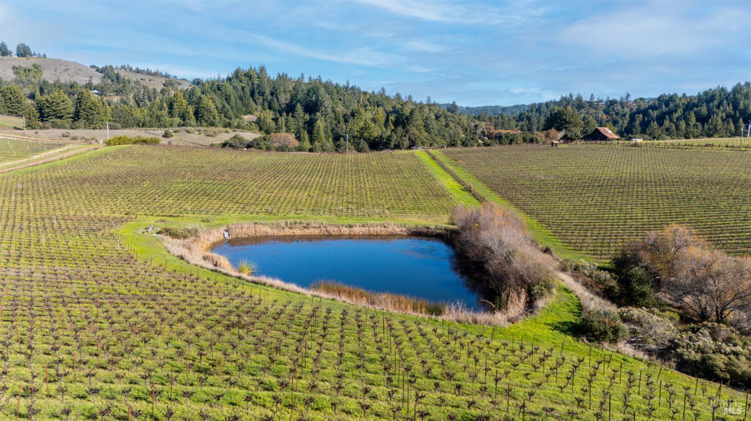 Detail Gallery Image 8 of 17 For 2300 Guntley Rd, Philo,  CA 95466 - – Beds | – Baths