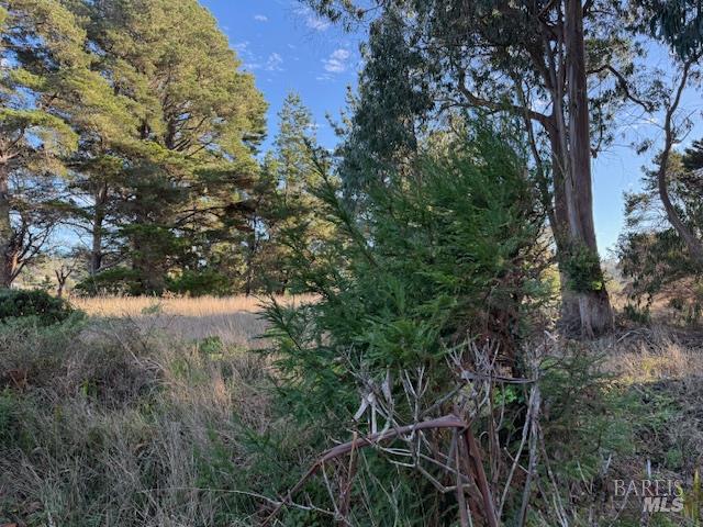 Detail Gallery Image 24 of 31 For 13500 Point Cabrillo Dr 20, Mendocino,  CA 95460 - 1 Beds | 1 Baths