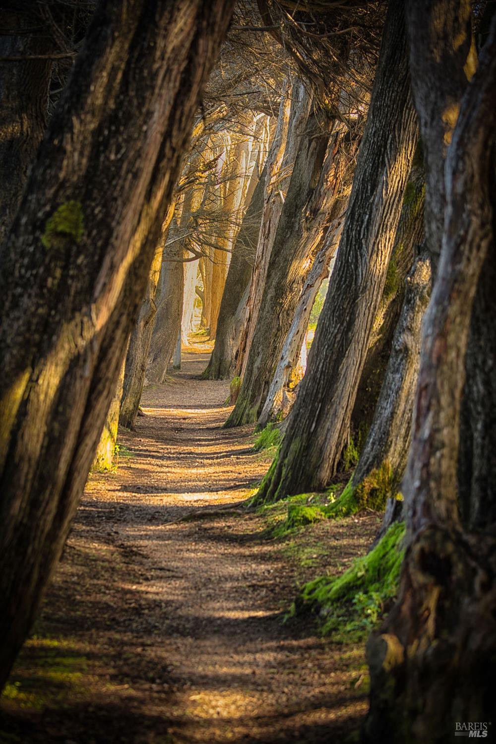 Detail Gallery Image 62 of 63 For 167 Dune Drift Close Unkn, The Sea Ranch,  CA 95497 - 3 Beds | 2 Baths