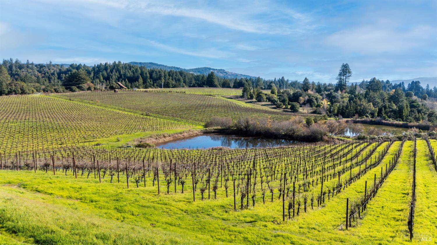 Front Image Thumbnail for BA325102908