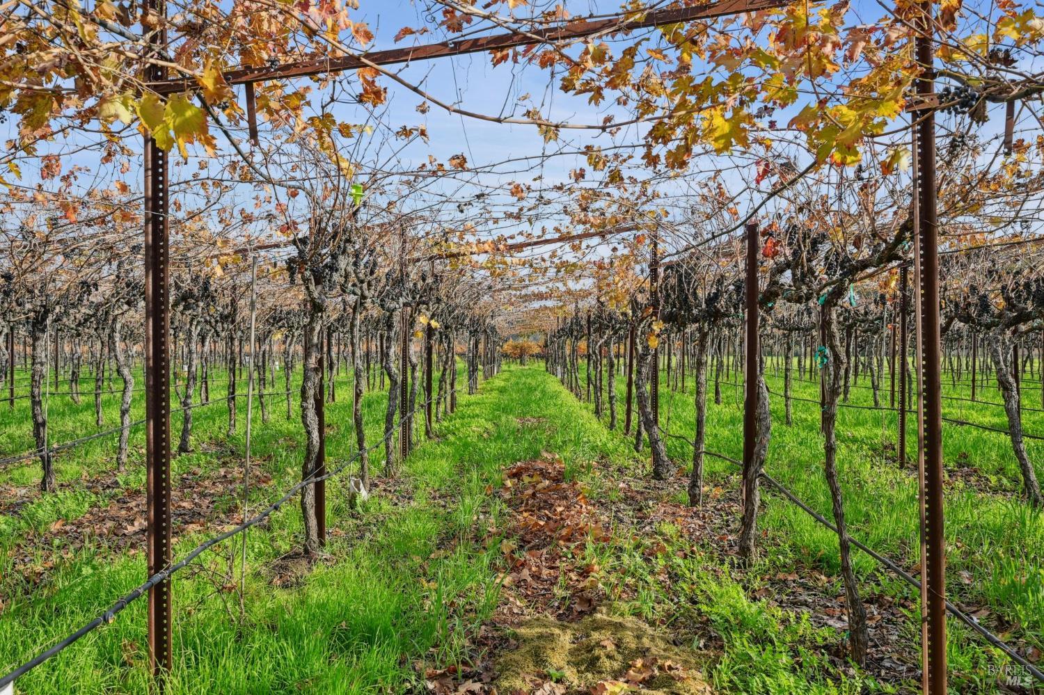 Detail Gallery Image 66 of 70 For 4188 Saint Helena Hwy, Calistoga,  CA 94515 - 3 Beds | 2/1 Baths