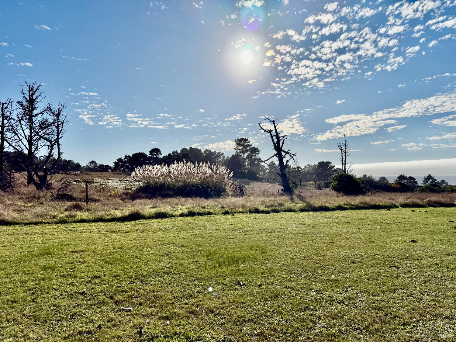 Detail Gallery Image 23 of 31 For 13500 Point Cabrillo Dr 20, Mendocino,  CA 95460 - 1 Beds | 1 Baths