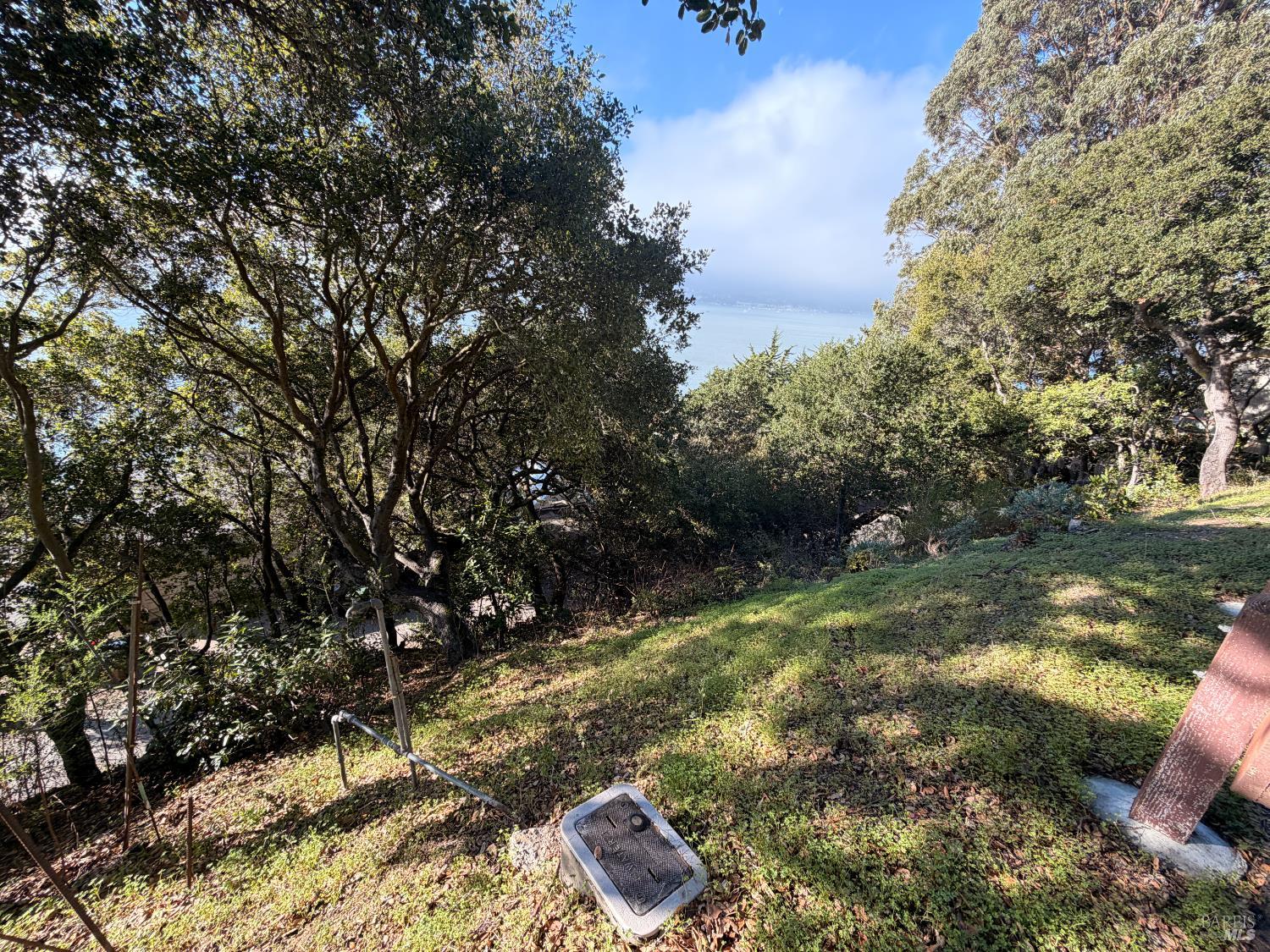 Detail Gallery Image 7 of 24 For 10 Cliff Rd, Belvedere,  CA 94920 - 5 Beds | 3/1 Baths