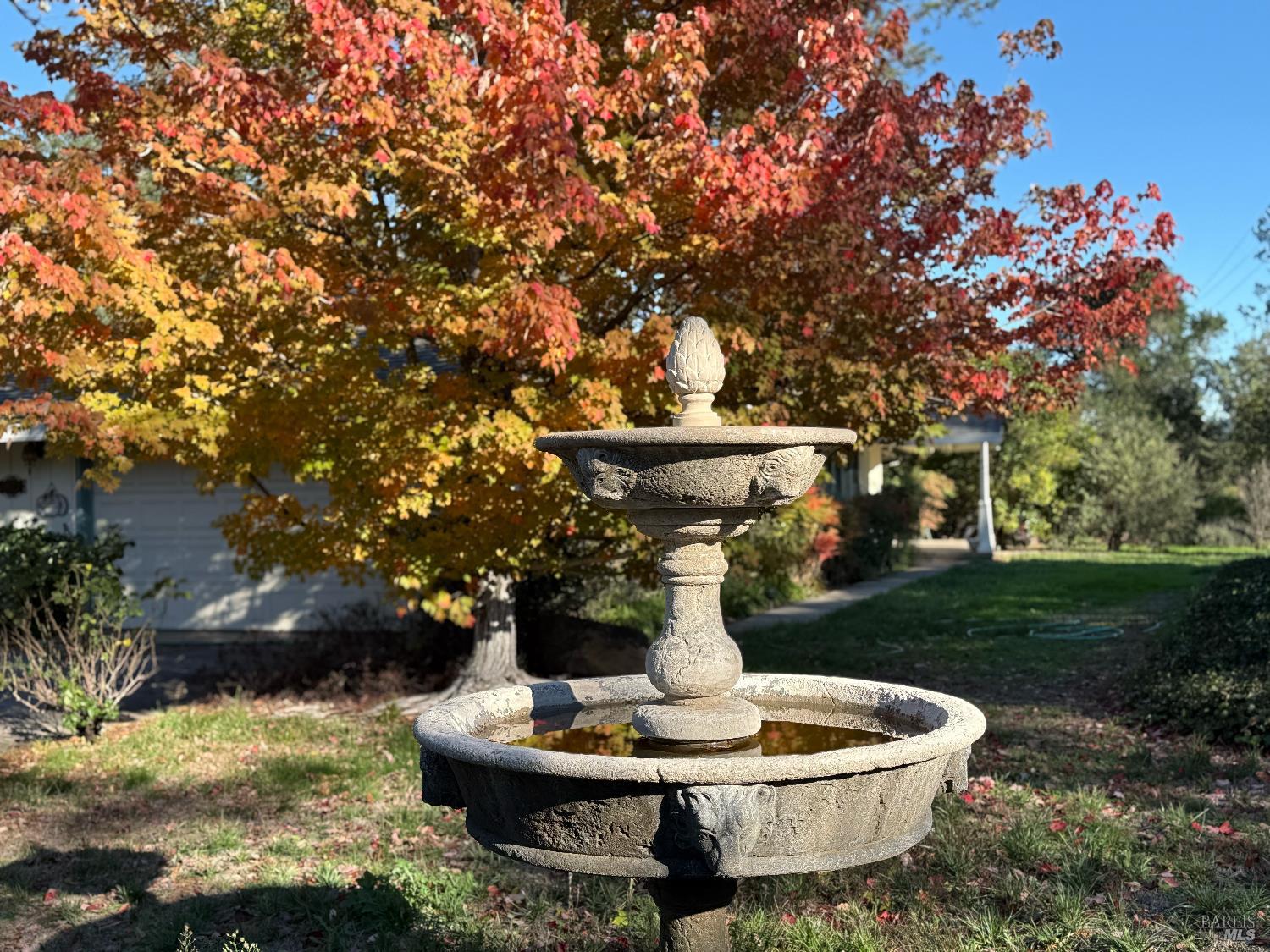 Detail Gallery Image 6 of 54 For 506 La Tierra Dr, Angwin,  CA 94508 - 3 Beds | 3 Baths