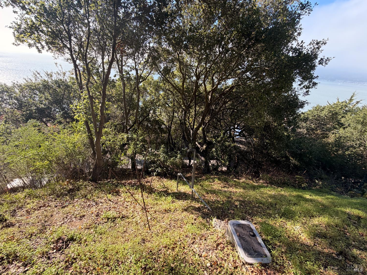 Detail Gallery Image 8 of 24 For 10 Cliff Rd, Belvedere,  CA 94920 - 5 Beds | 3/1 Baths