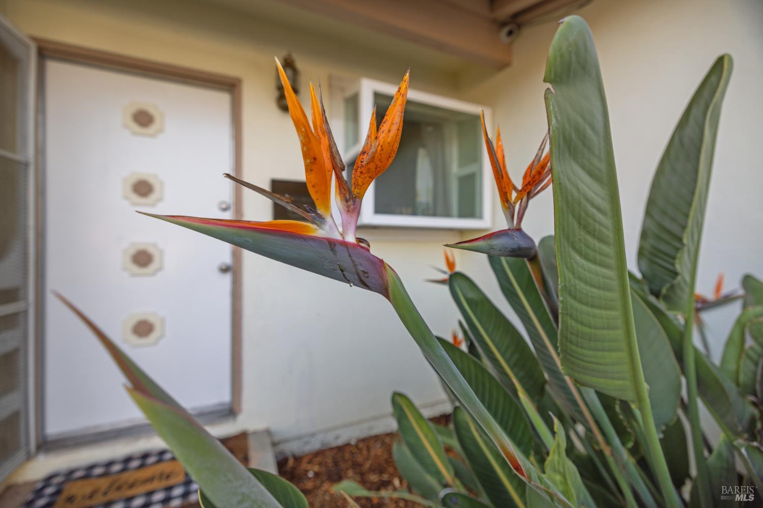 Detail Gallery Image 6 of 43 For 2825 Seneca Ln, Santa Rosa,  CA 95403 - 3 Beds | 2 Baths