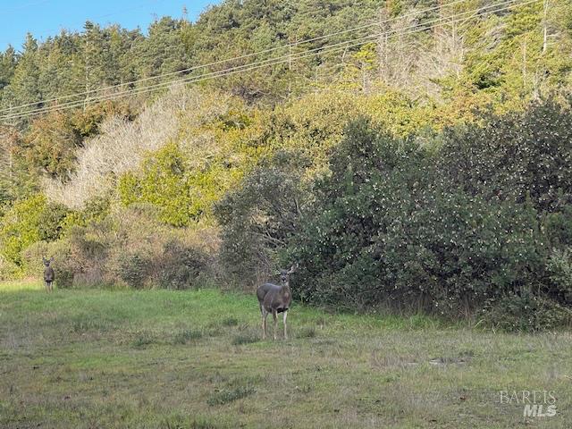 Detail Gallery Image 6 of 12 For 237 Badger Unkn, The Sea Ranch,  CA 95497 - – Beds | – Baths