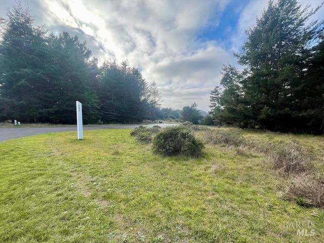 Front Image Thumbnail for BA325103074