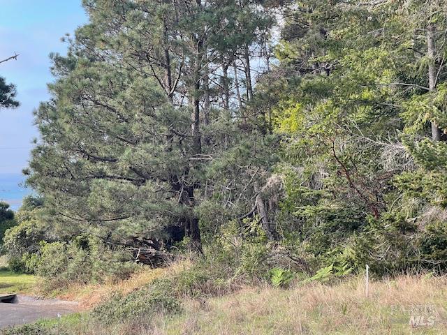 Detail Gallery Image 5 of 12 For 237 Badger Unkn, The Sea Ranch,  CA 95497 - – Beds | – Baths