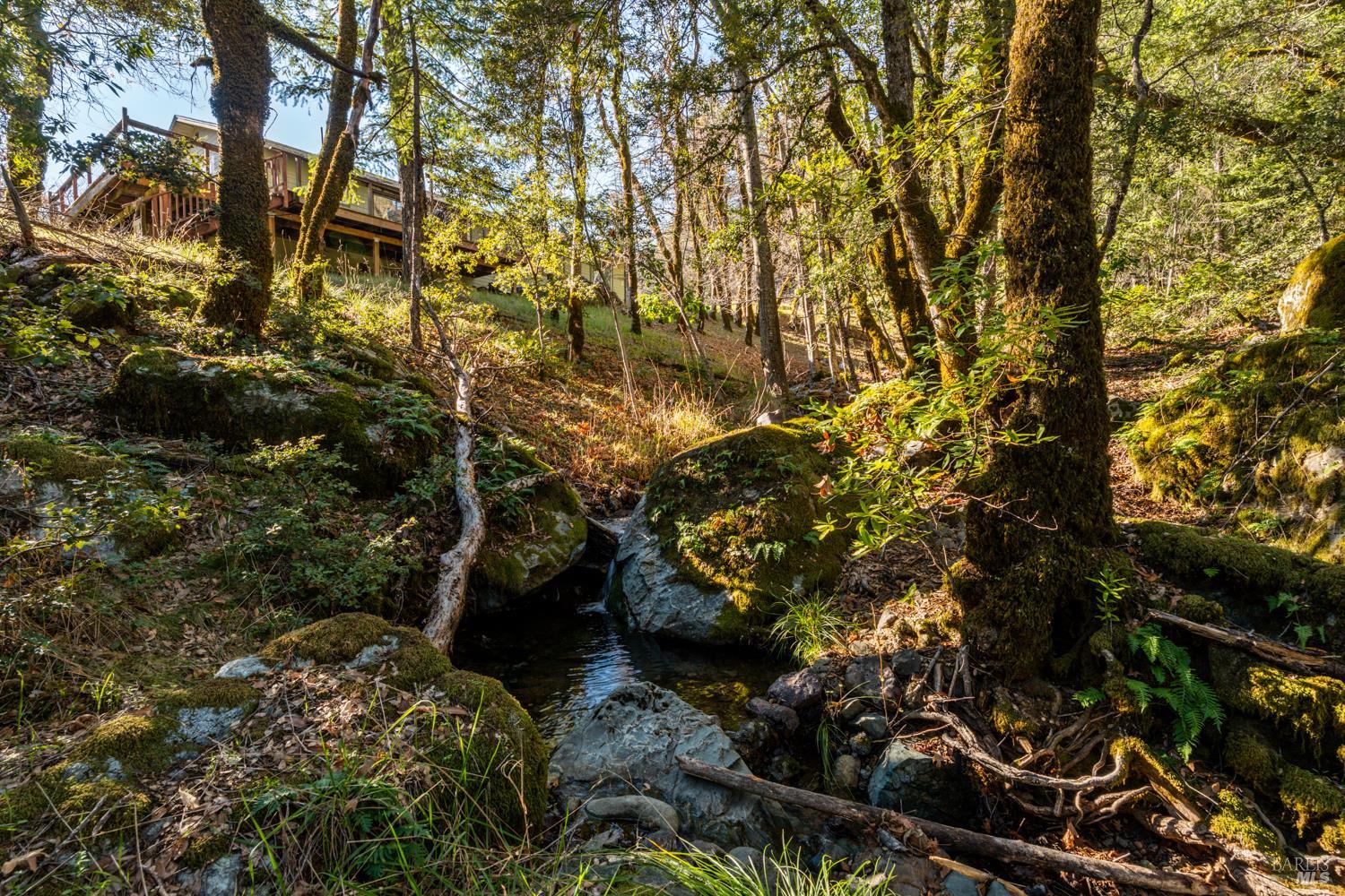 Detail Gallery Image 2 of 49 For Address Is Not Disclosed, Laytonville,  CA 95454 - 1 Beds | 1/1 Baths