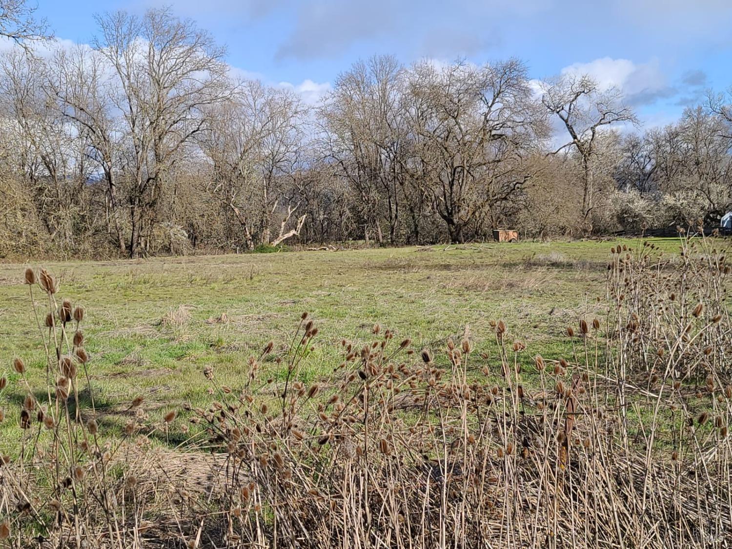 Detail Gallery Image 4 of 43 For 75589 Covelo Rd, Covelo,  CA 95428 - 2 Beds | 1 Baths