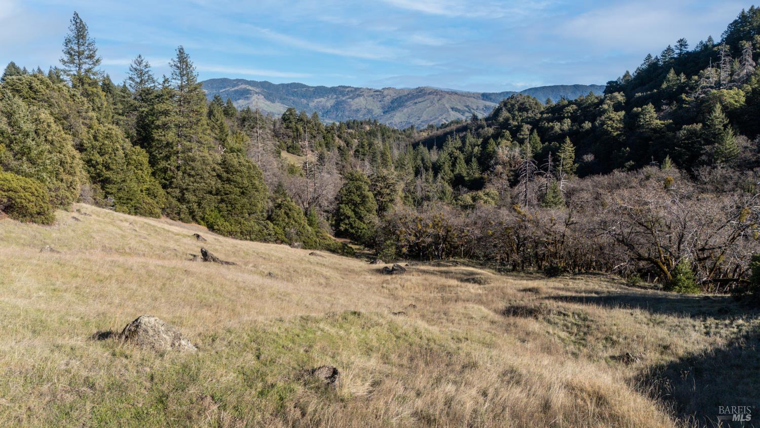 Detail Gallery Image 46 of 49 For Address Is Not Disclosed, Laytonville,  CA 95454 - 1 Beds | 1/1 Baths