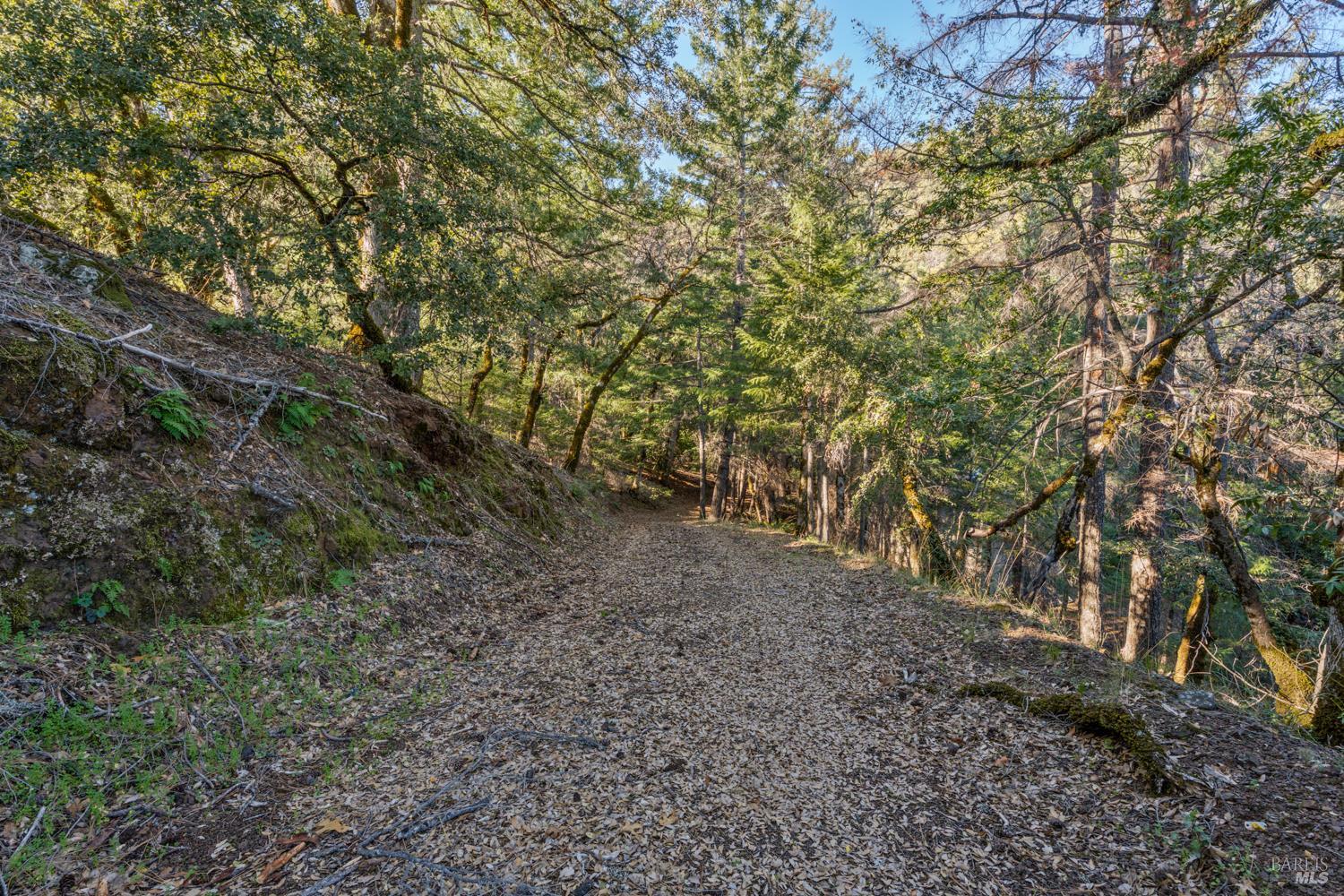 Detail Gallery Image 44 of 49 For Address Is Not Disclosed, Laytonville,  CA 95454 - 1 Beds | 1/1 Baths